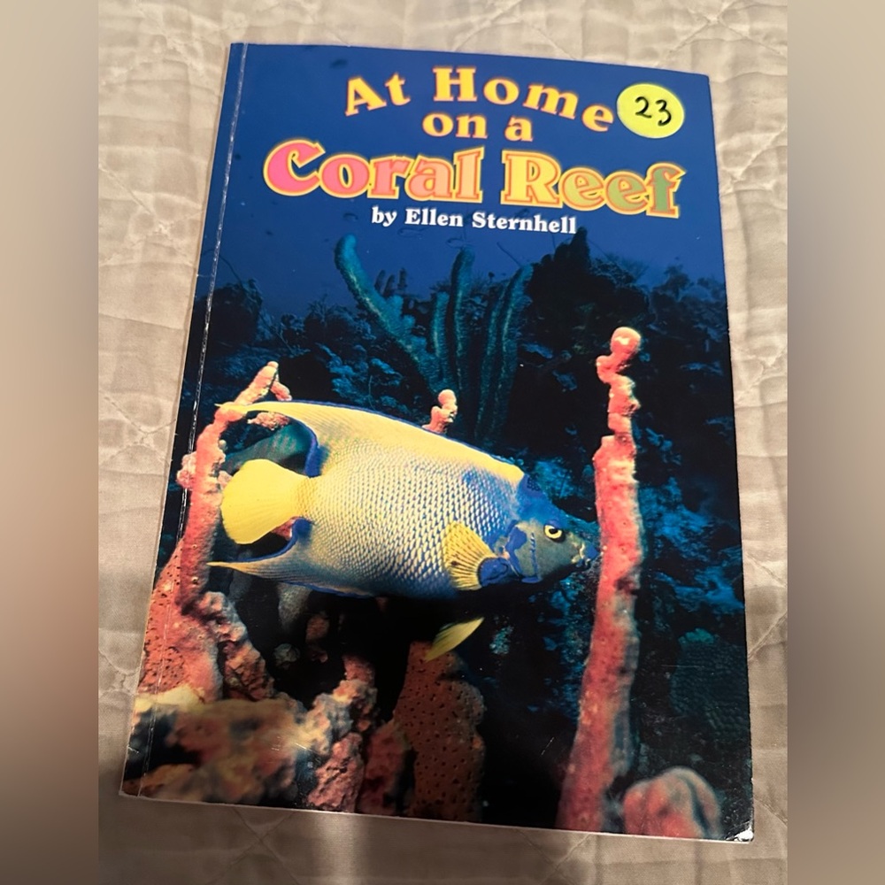 At Home on a Coral Reef by Ellen Sternhell - Blue and Yellow Cover
